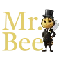 Mr. Bee